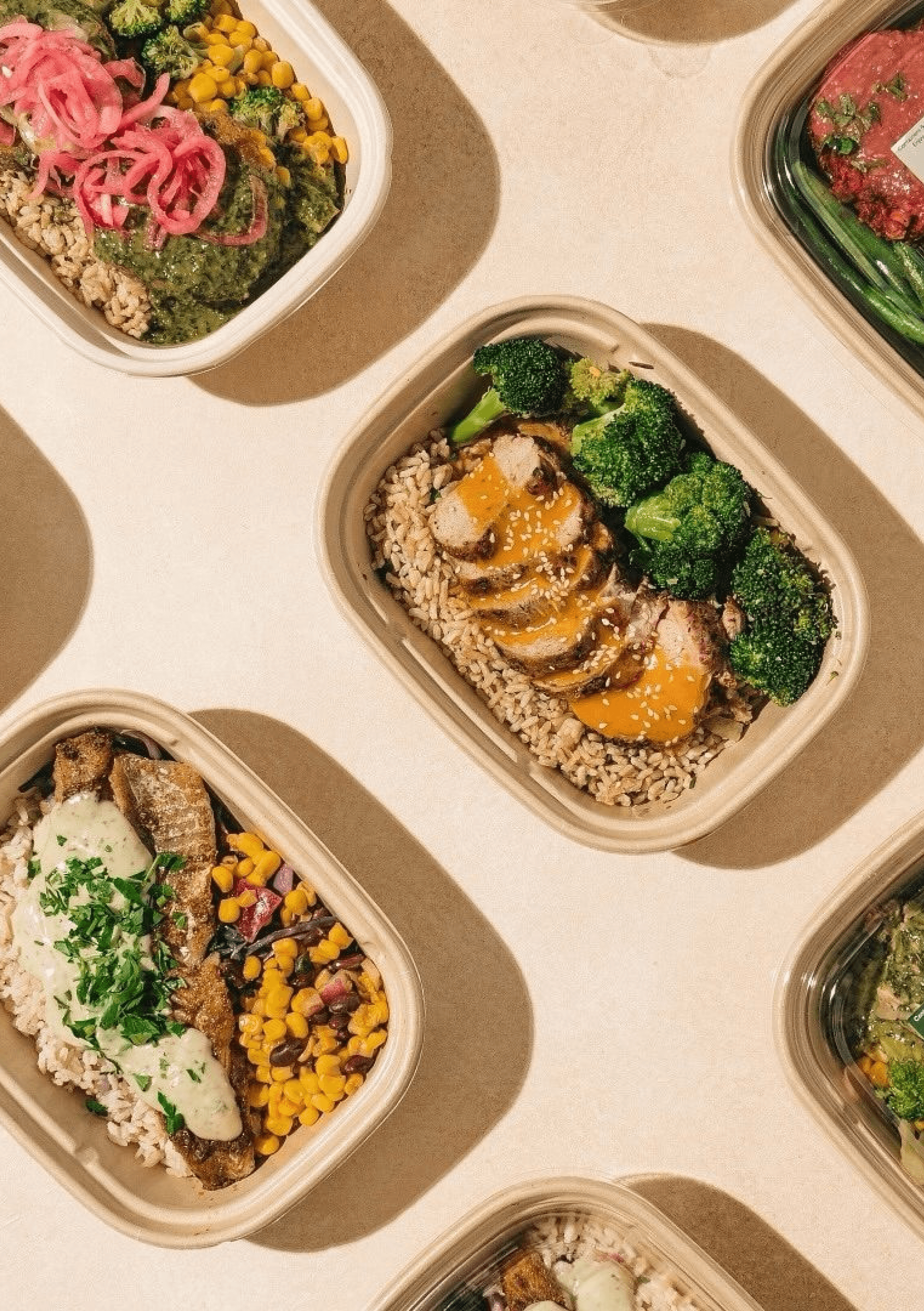 NUTRITION & WELLBEING
